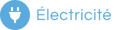 Badge-FR-Electricite
