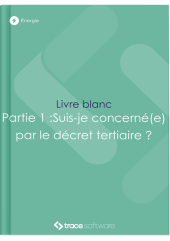 Livre blanc - DT partie 1