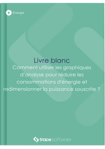 Livre blanc - Graphes & analyse